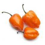 15 Proven Health Benefits of Eating Habanero Pepper – Poultry farm